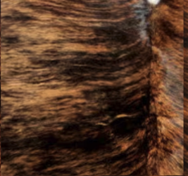 Brown Brindle
