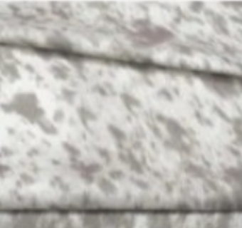 Gray Spot