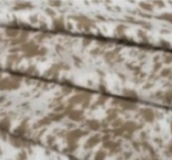 Sandy Spot